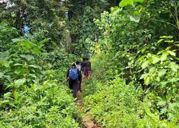Perjalanan menuju kebun milik keluarga pak Tristan yang berada di atas bukit. Foto: Syukron