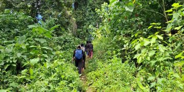 Perjalanan menuju kebun milik keluarga pak Tristan yang berada di atas bukit. Foto: Syukron