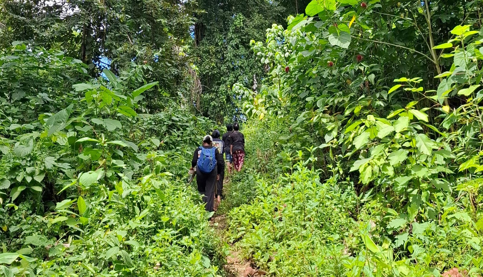 WhatsApp Image 2026-02-27 at 16.28