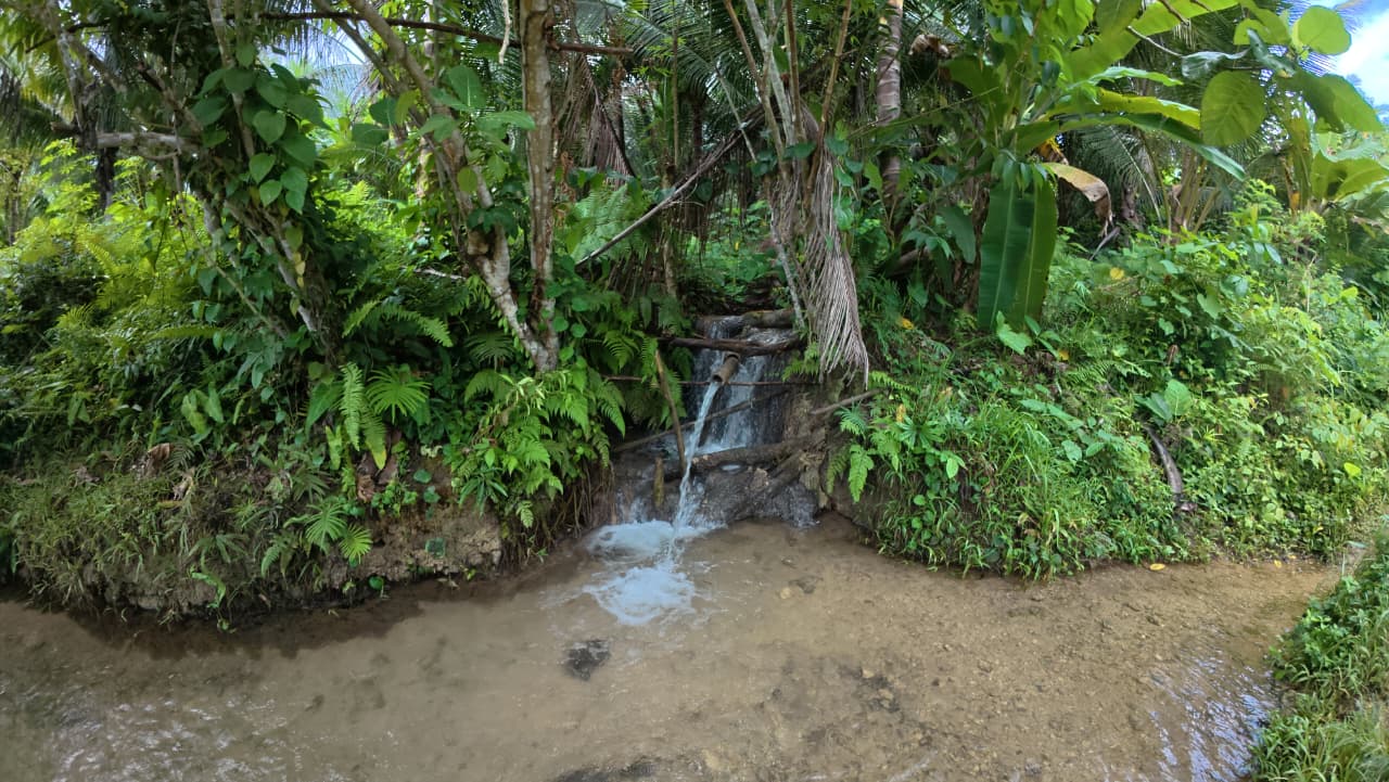 Whatsapp Image 2026 02 27 At 16 25