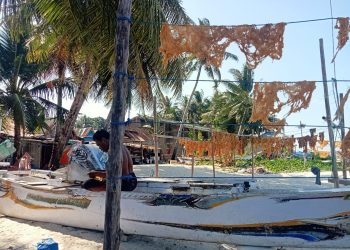 Whatsapp Image 2026 02 28 At 15 19