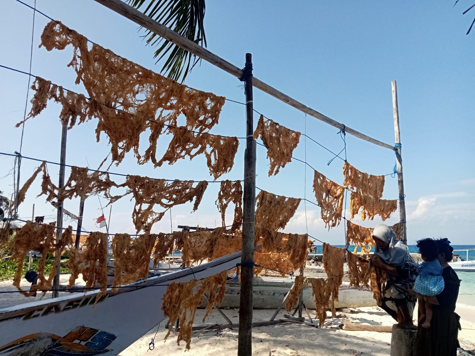 Whatsapp Image 2026 02 28 At 15 19