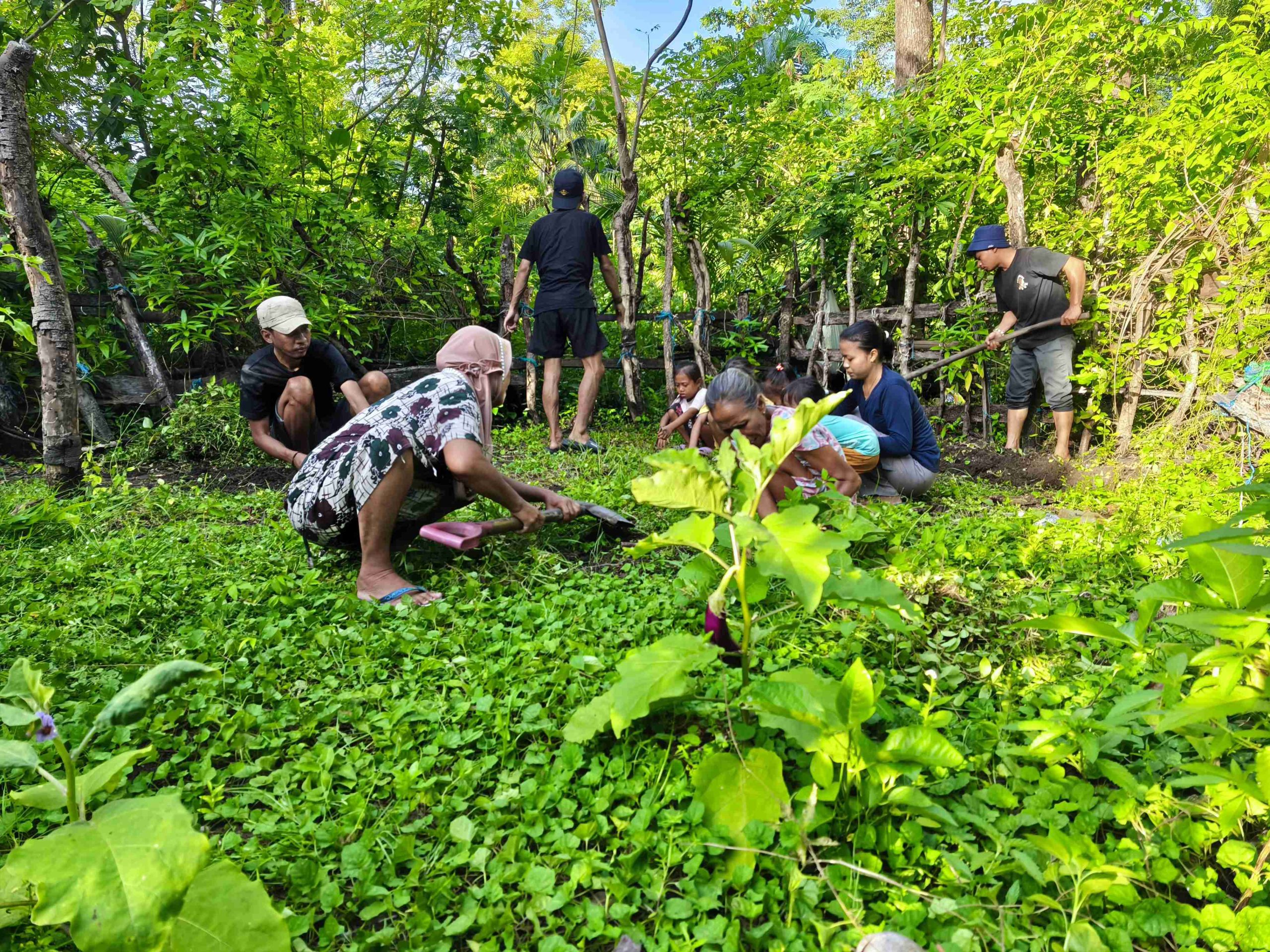 Monitoring Kebun 40 11zon